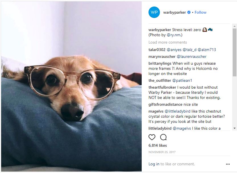 Dog in glasses Instagram photo as part of Warby Barker marketing campaign