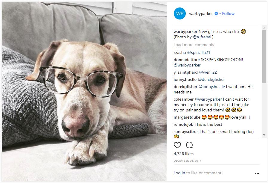 Dog with glasses fro Warby Parker Instagram Feed