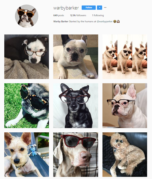 Dogs in glasses Instagram feed