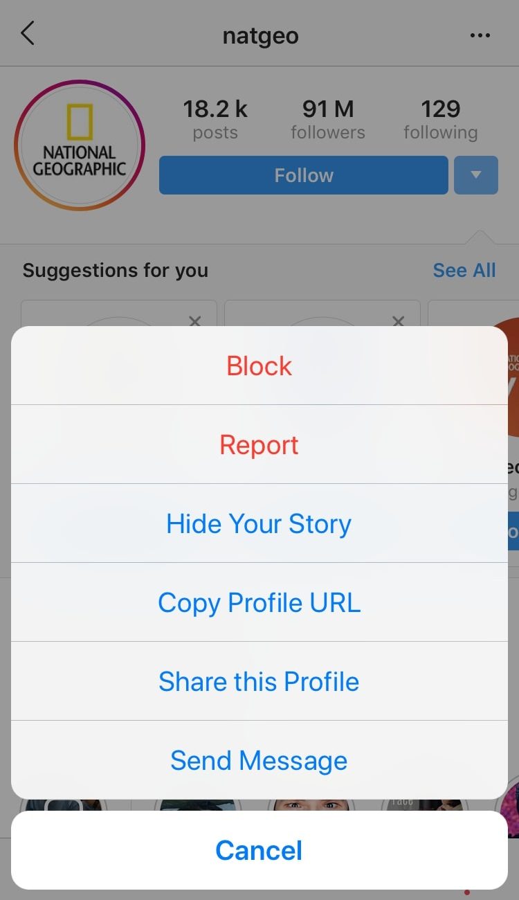 How To Block Someone on Instagram - The Quick and Painless Way