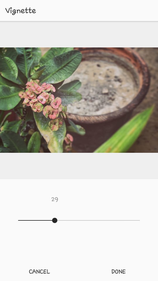 Instagram Vignette at 29 Percent | Edit Instagram Pics Like a Pro | Jumper Media