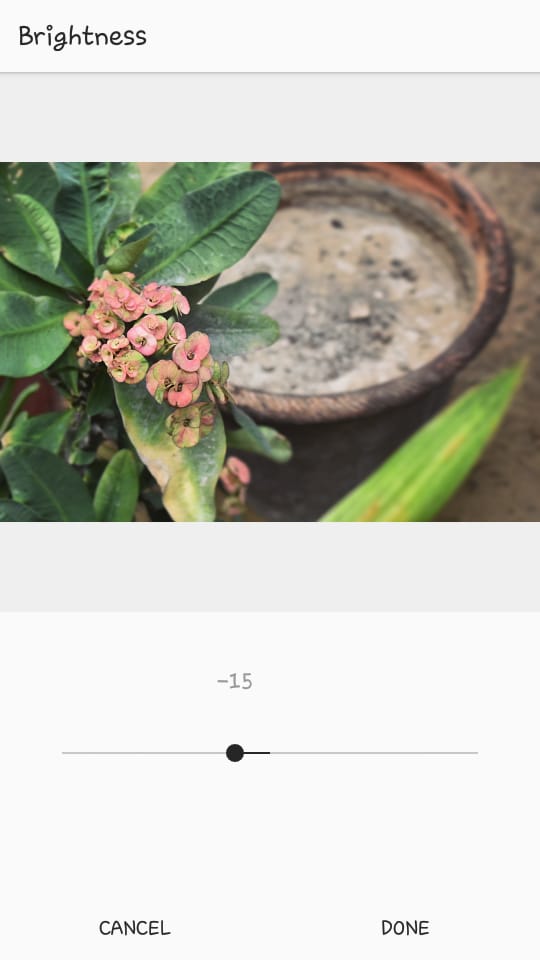 Instagram Brightness Editor | Edit Instagram Pics Like a Pro | Jumper Media