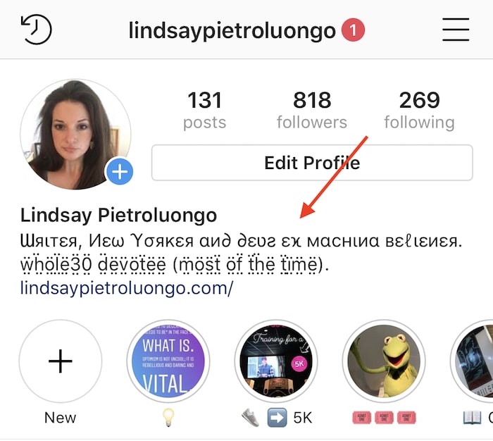 Font instagram profile