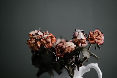 Dead Pink Flowers