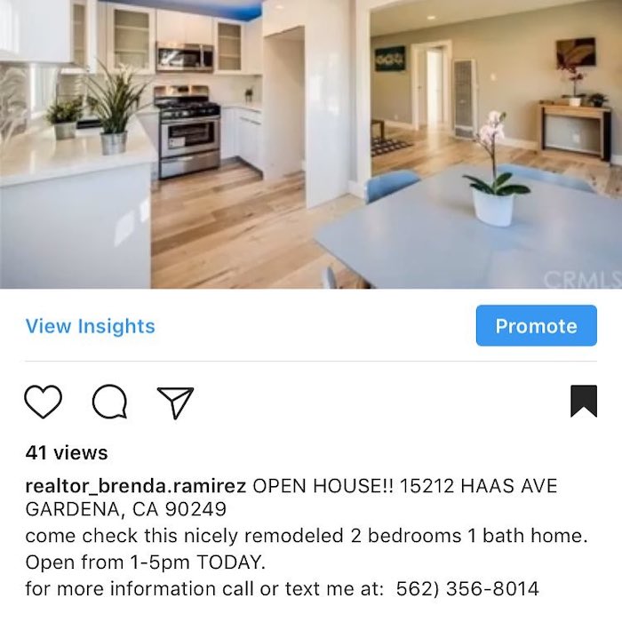 Realtor's Capture Instagram Leads with Call to Action