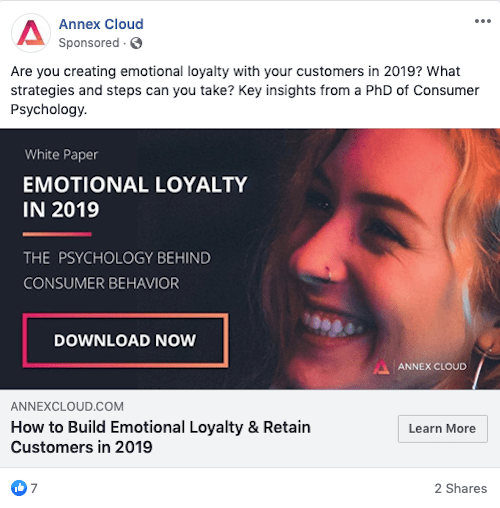 Facebook Targeting Advertising Ad Post Example