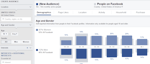 Facebook Audience Insights Graph