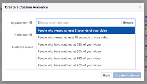 Facebook Custom Audience Features