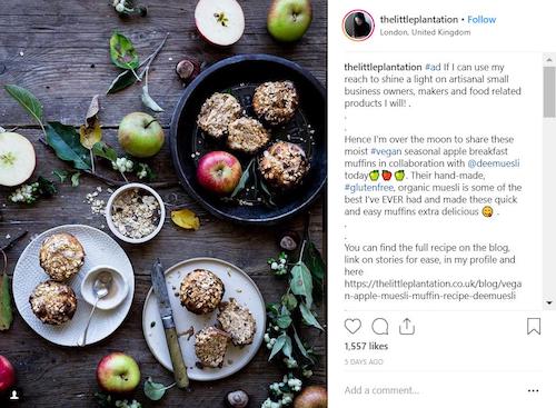 foodie-instagram-influencer-marketing-campaign